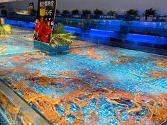 -驻海渔市(置信店)