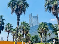 -金沙湖公园