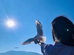 -昆明冠生园·蛋糕·面包(南强街店)