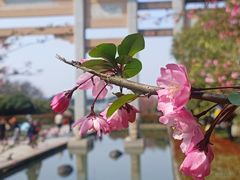 -南京市江宁方山