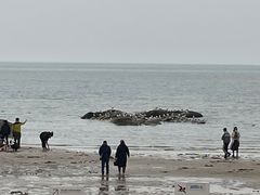 -老虎石海上公园