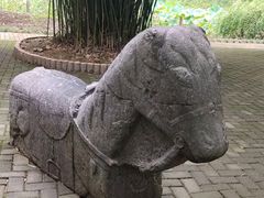 -瀛洲公园