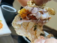 -老家黄墩小错鸡·活海鲜
