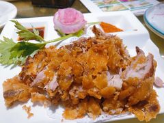 脆皮肘子-新侨小馆(东直门北小街店)