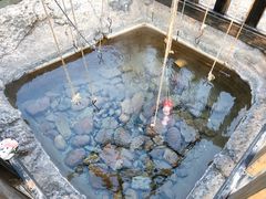 -天芳悦潭度假村温泉