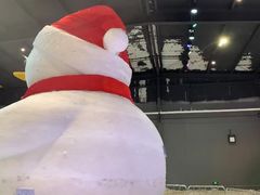 -宁波冰雪大世界(北仑区)