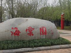 -武昌江滩