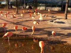 -鄂尔多斯野生动物园