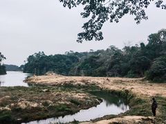 -佛山市三水区大南山森林公园