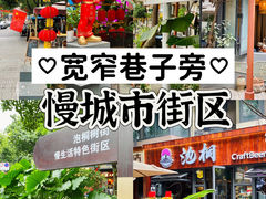 -泡桐树街