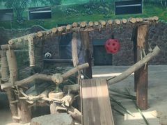 -黔灵山公园