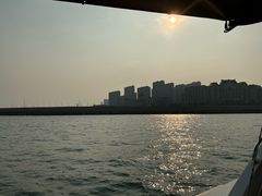 -星光岛