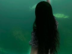 -广东惠东海龟国家级自然保护区