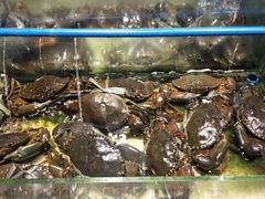 -Isla Sugbu Seafood City