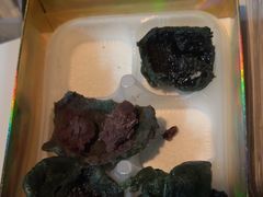 -同庆楼(滨湖万达广场店)