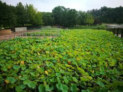 -大望京儿童游乐场