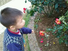 -人民公园(罗湖区)