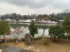 -仙林宾馆-餐厅