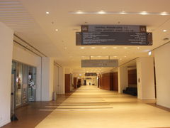 -香港大学