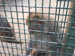 -南京金牛湖风景区