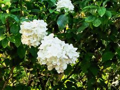 -莹珠阁·私房菜