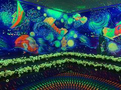 -天津梵高星空艺术馆(天河城旗舰店)
