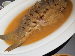 -阿庄新豫菜(通泰路店)