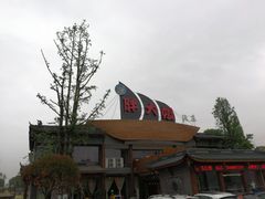 -胖大姐黄辣丁鱼庄(新津店)