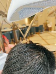 -碧莲盛·不剃发植发