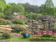 -铁山坪森林公园