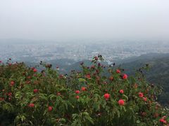 -白云山风景名胜区