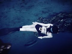 -苏州海洋馆