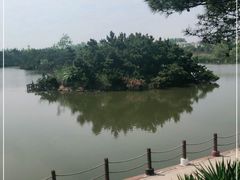 -日照海滨国家森林公园