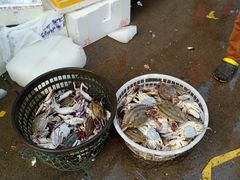 -王四营海鲜市场