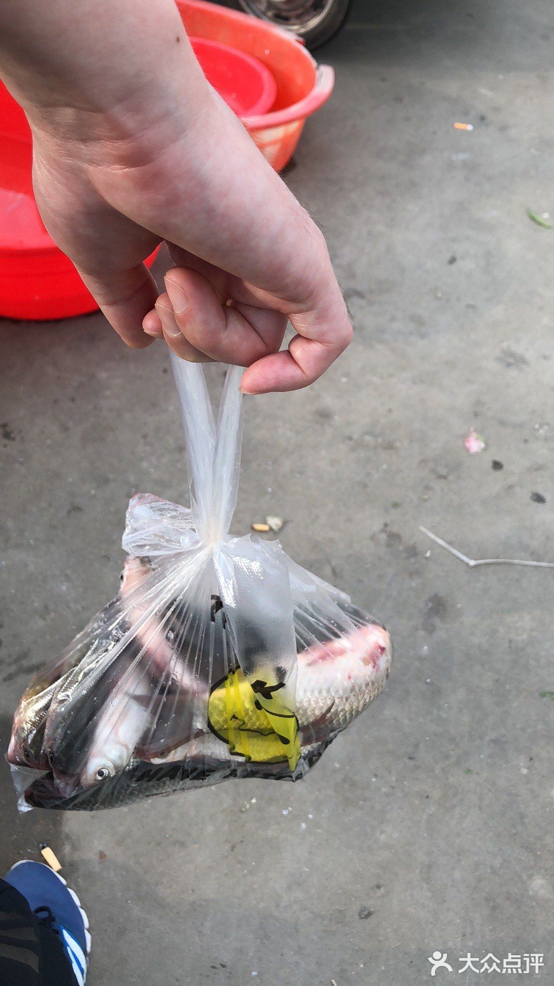 下午三点多，码头上的人很多