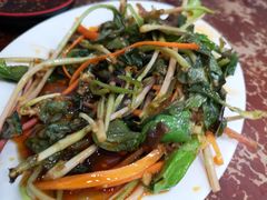 -雷祖芳老妈蹄花店