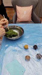 -月来悦好国际月子会所