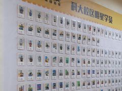 -童程童美信奥赛科技特长·乐高编程科创机器人(科大校区)