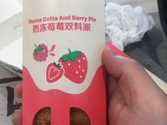 -麦当劳(塔园路店)