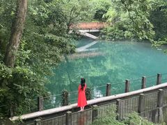 -浙江大学(之江校区)