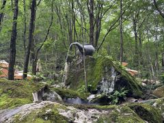 -牛背梁国家森林公园