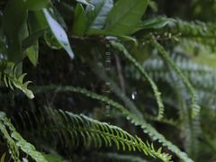 -武汉光谷K11