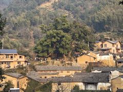-杨家堂村
