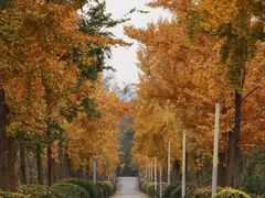 -白鹭湾湿地公园