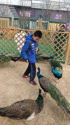 -萌宠亲子动物乐园(槐房万达店)