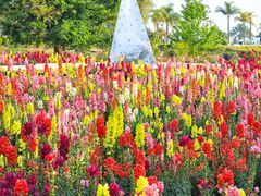 -抚仙湖万达文华酒店