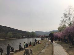 -石塘人家