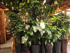 -草原塞蛮羊火锅城(港湾店)