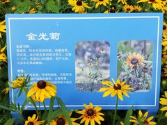 -太阳宫公园