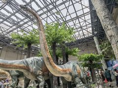 -国家自然博物馆